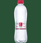 Apă minerală Aqua Carpatica 0.5l - Maia e farina Brașov